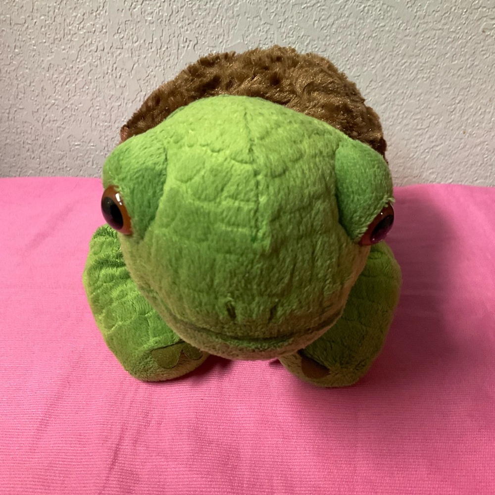 Plush Green Turtle with Brown Furry Shell Eric Carle Kohl’s Cares Plush Turtle